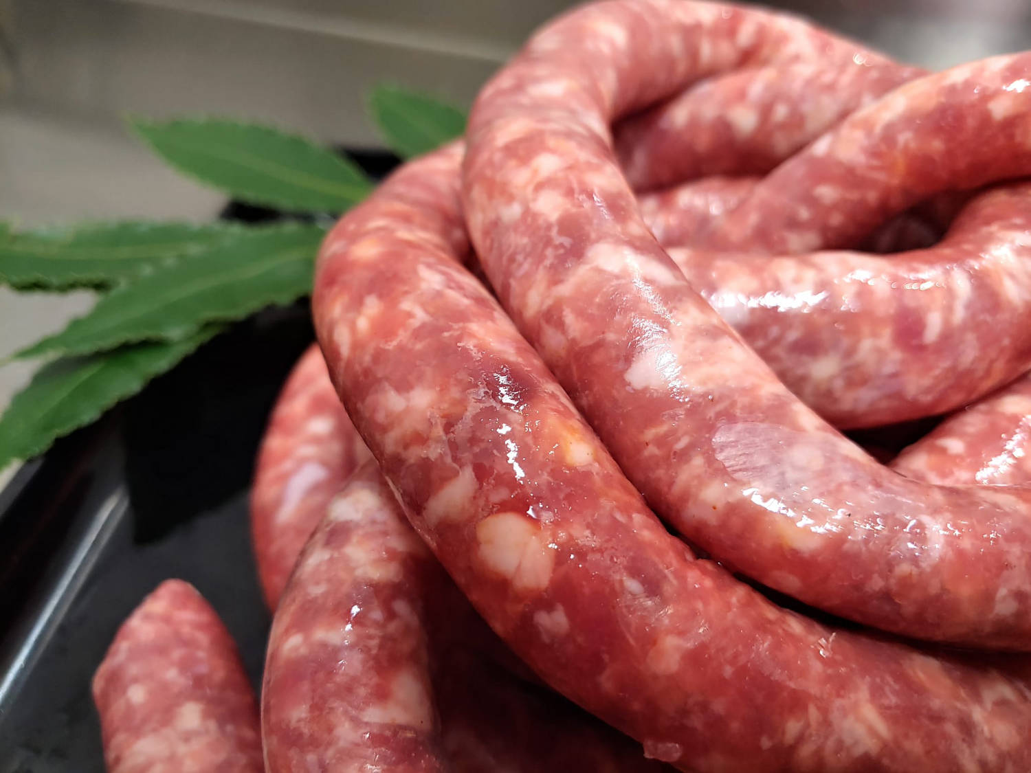 salsiccia equina macelleria musso